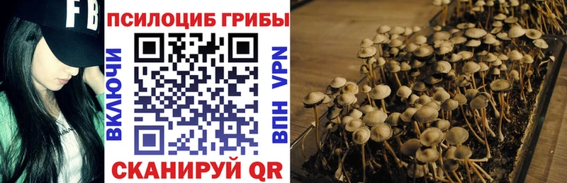 Галлюциногенные грибы прущие грибы  купить закладку  Ульяновск 
